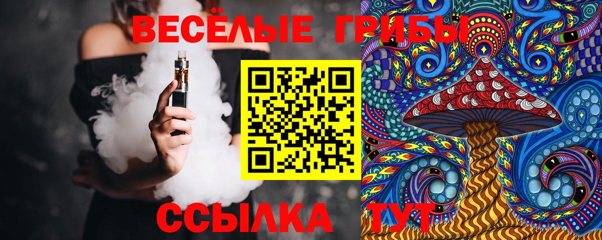 Псилоцибиновые грибы Cubensis  Вход с VPN  Шали 